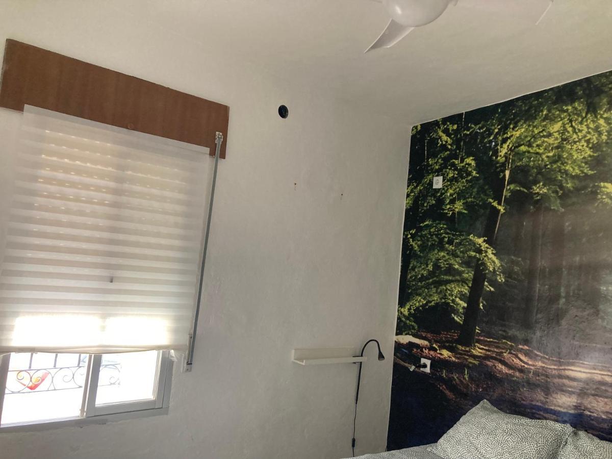 Hostel Backpackers La Gaditana 阿尔豪林格朗德 外观 照片